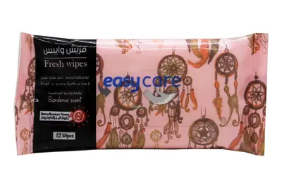 Easy Care Wet 12 Wipes (Easy Pack)