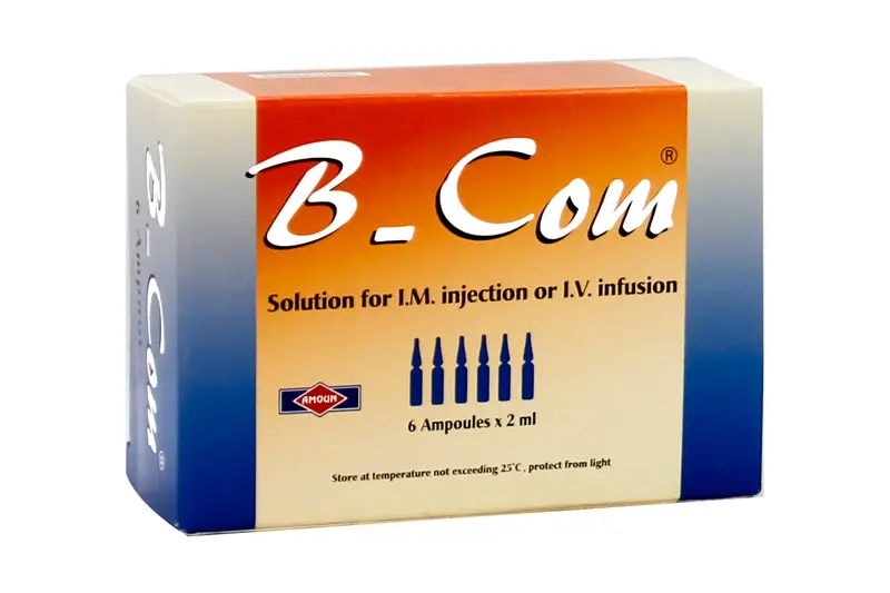 B-Com 6 Amp