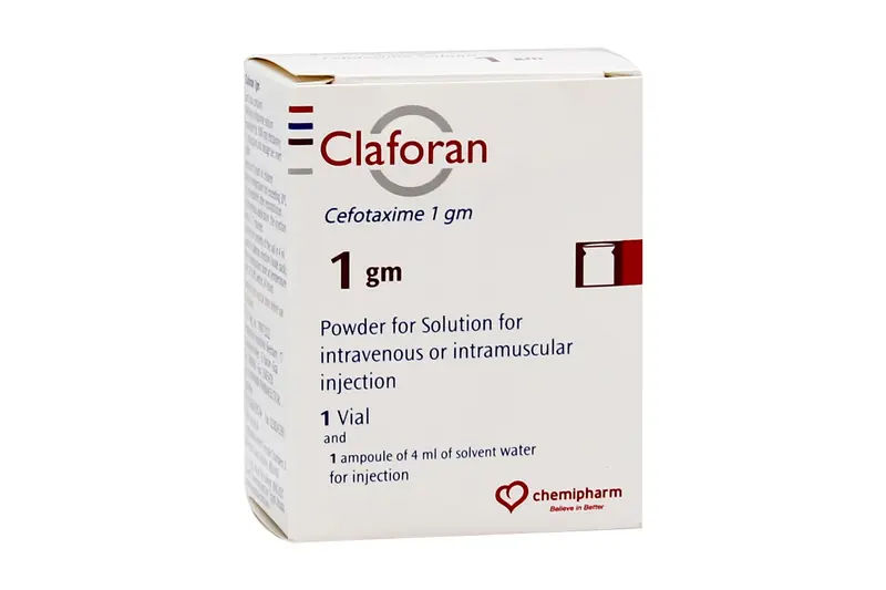 Claforan 1 Gm 1 Vial