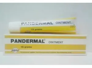 Pandermal Oint 15 Gm