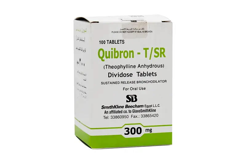 Quibron - S R - 300 Mg 100 Tab (By Tablet)