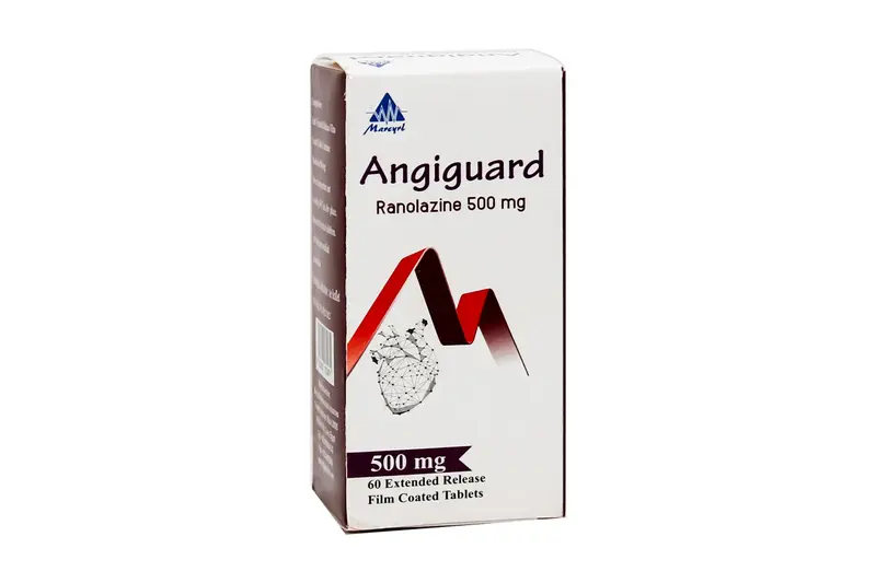 Angiguard Xr 500 Mg 60 Tab