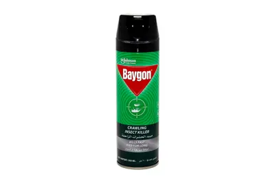Baygon Ants & Kills Spray 300 Ml