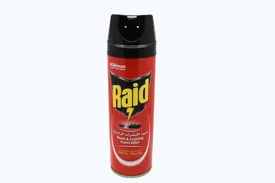 Raid Cockroach & Ant Killer 300 Ml