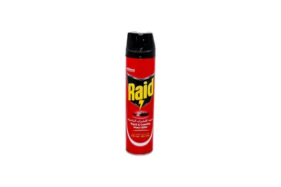 Raid Cockroach & Ant Killer 400 Ml